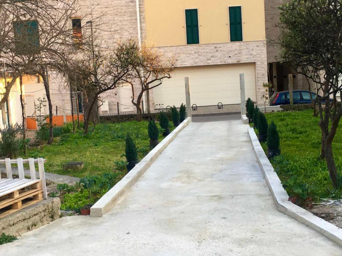 Banicevic Apartmani Ðenovići 외부 사진