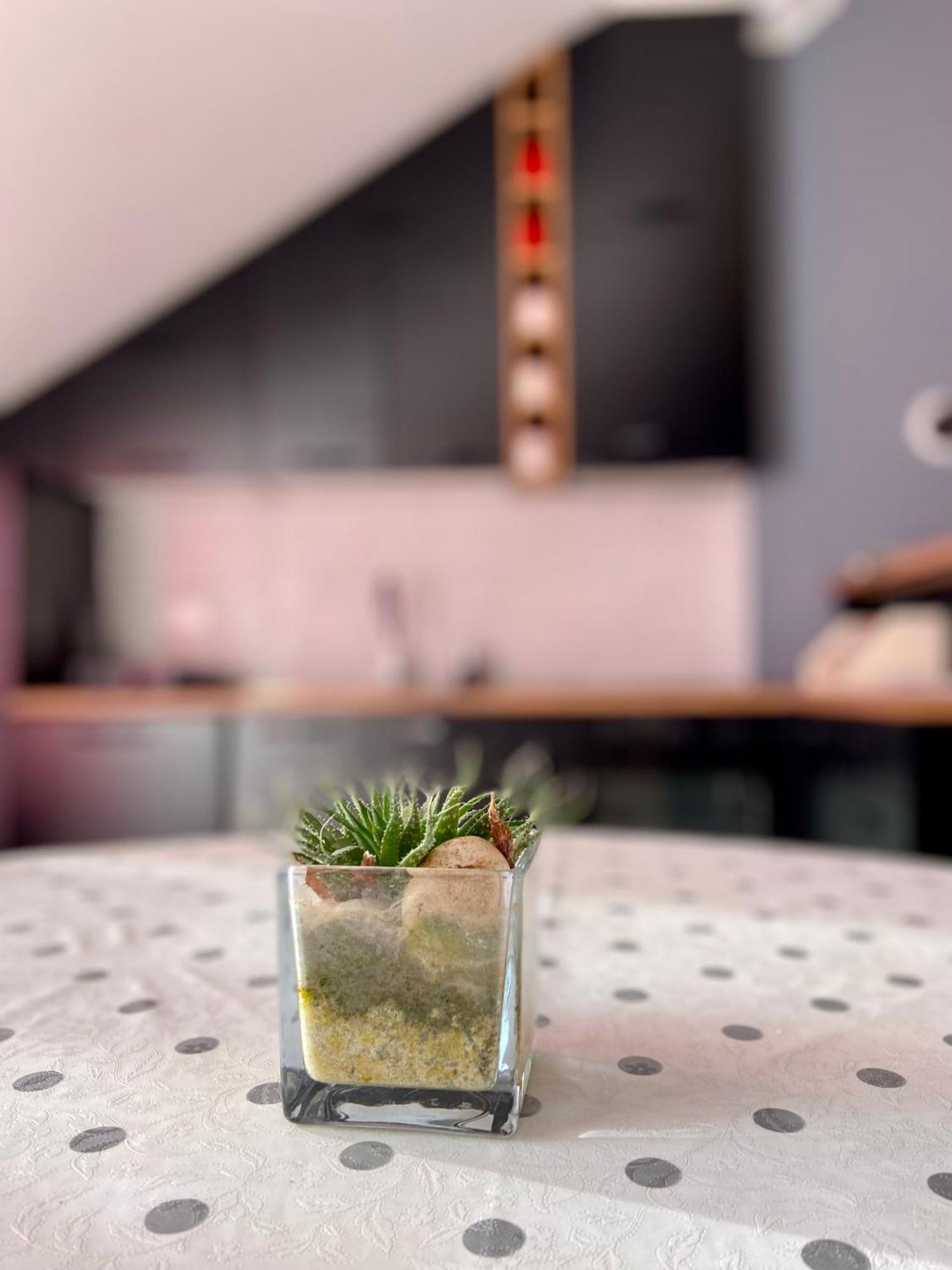 Banicevic Apartmani Ðenovići 외부 사진